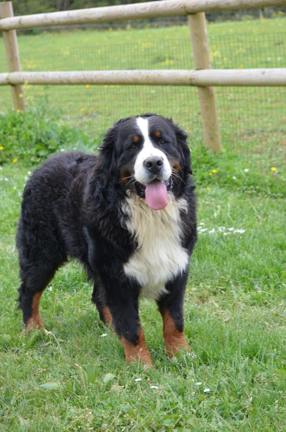 Uther De La Colline D'Eole