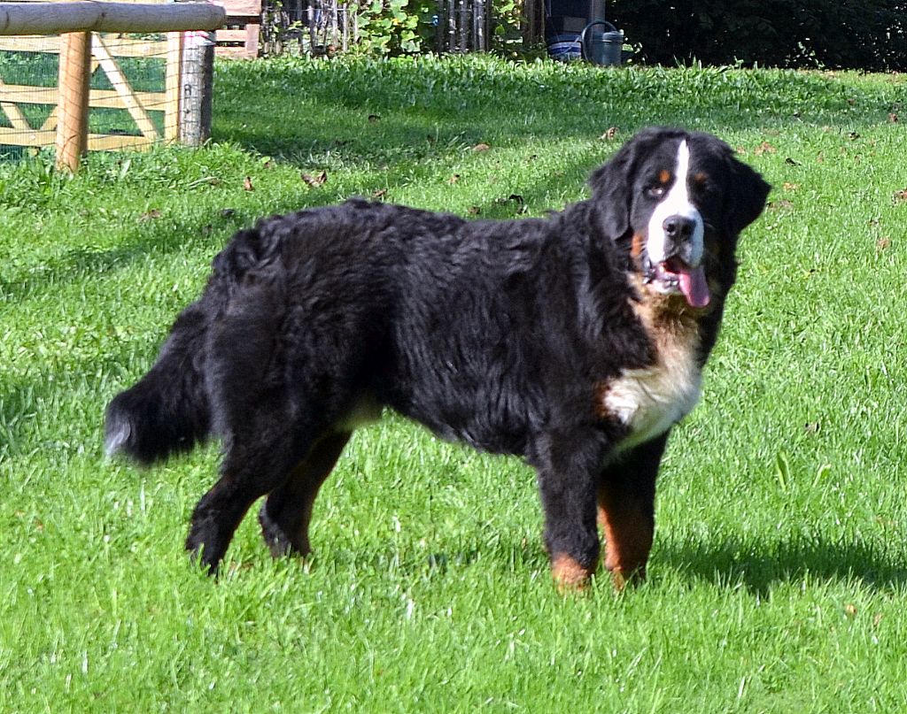 Uther De La Colline D'Eole